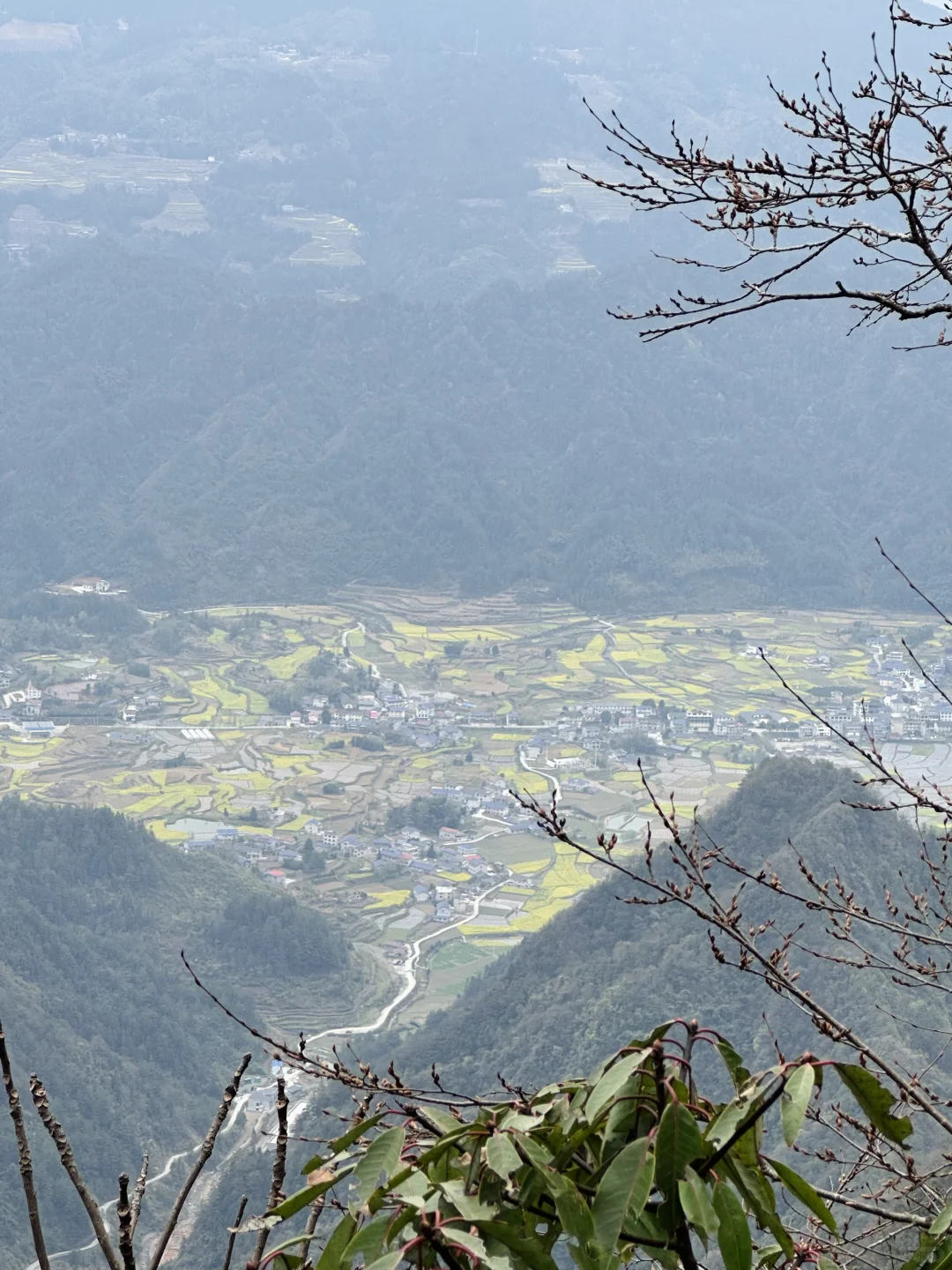 📍Zhang Jia Jie 张家界