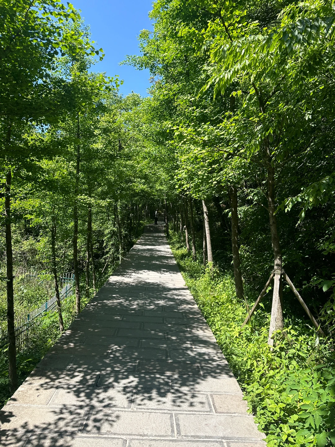 📍 𝐙𝐡𝐚𝐧𝐠 𝐣𝐢𝐚 𝐣𝐢𝐞