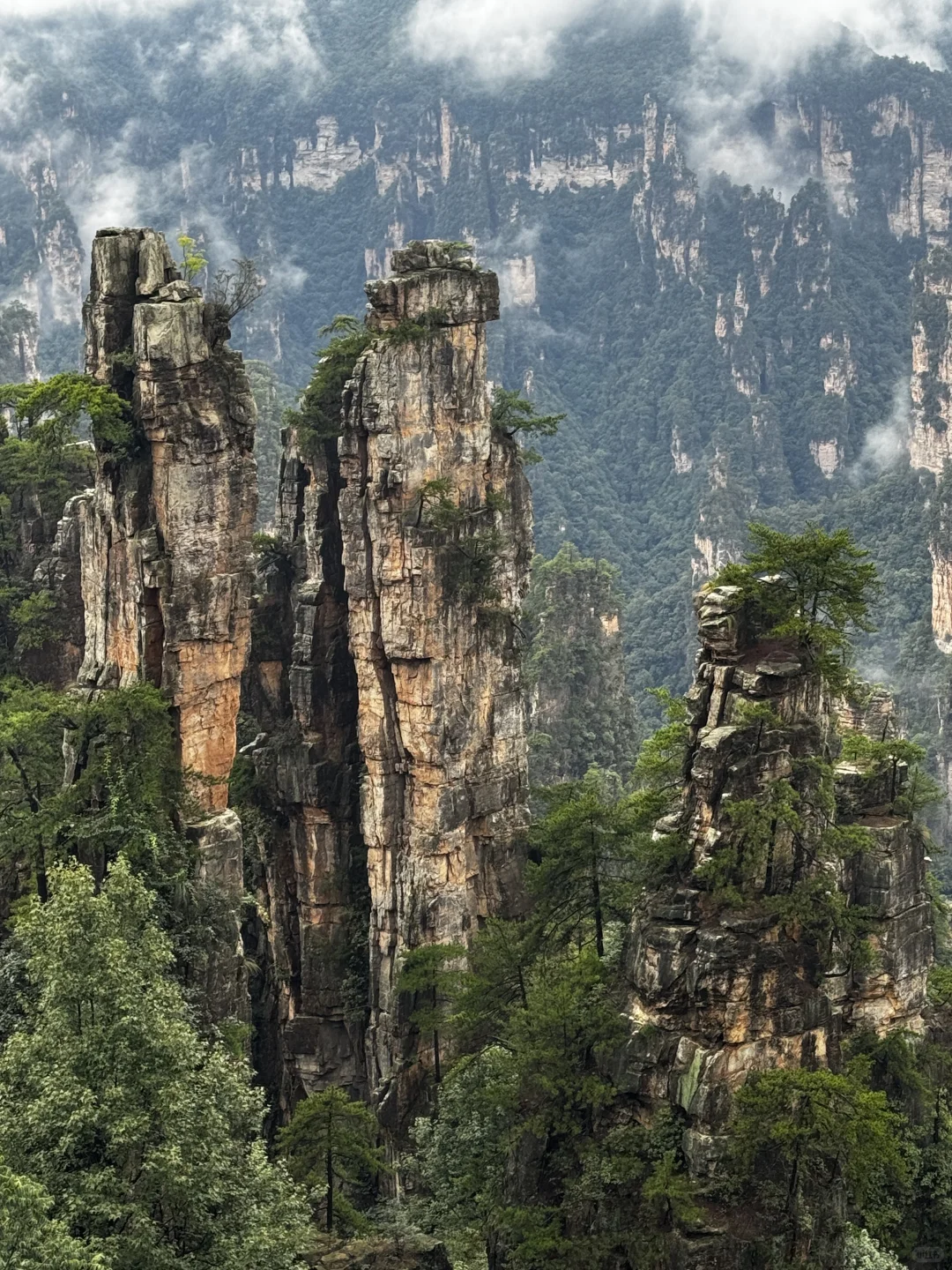 仙境之阿凡达故里