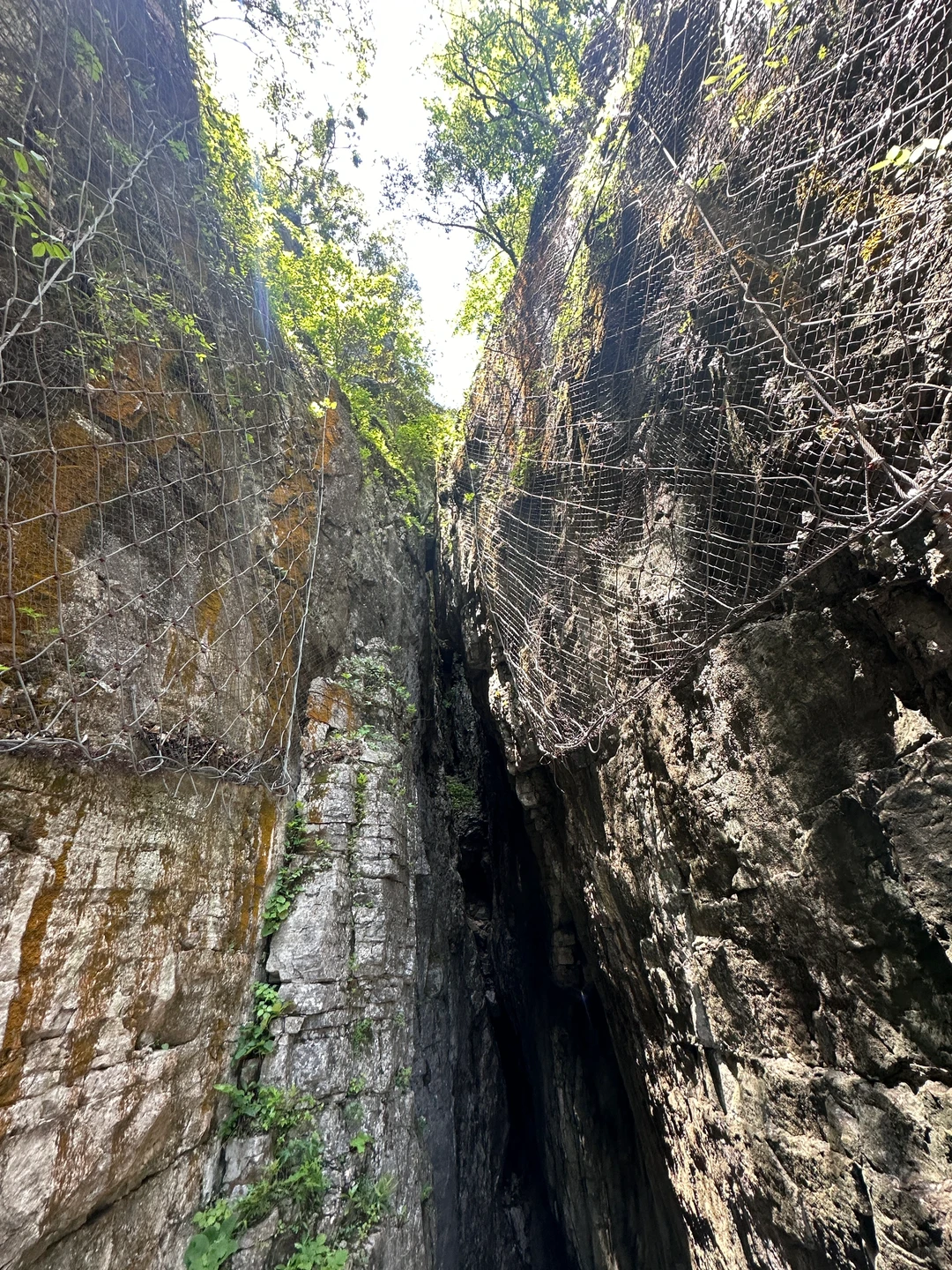 📍 𝐙𝐡𝐚𝐧𝐠 𝐣𝐢𝐚 𝐣𝐢𝐞