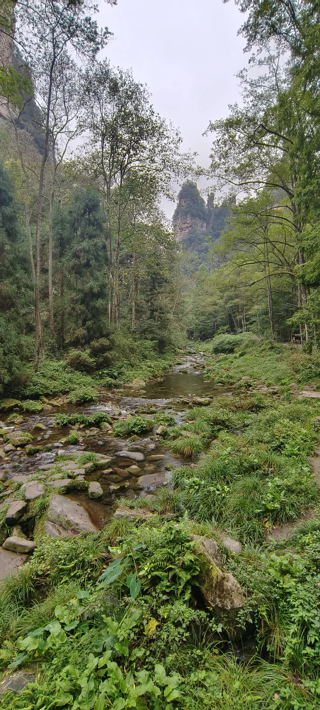 张家界森林公园2日路线(精华版)