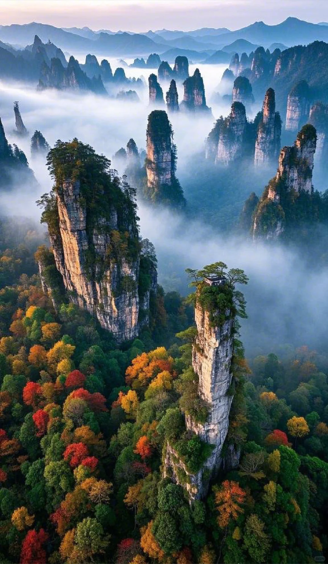 当秋色邂逅奇峰，这里的美让人词穷🍁