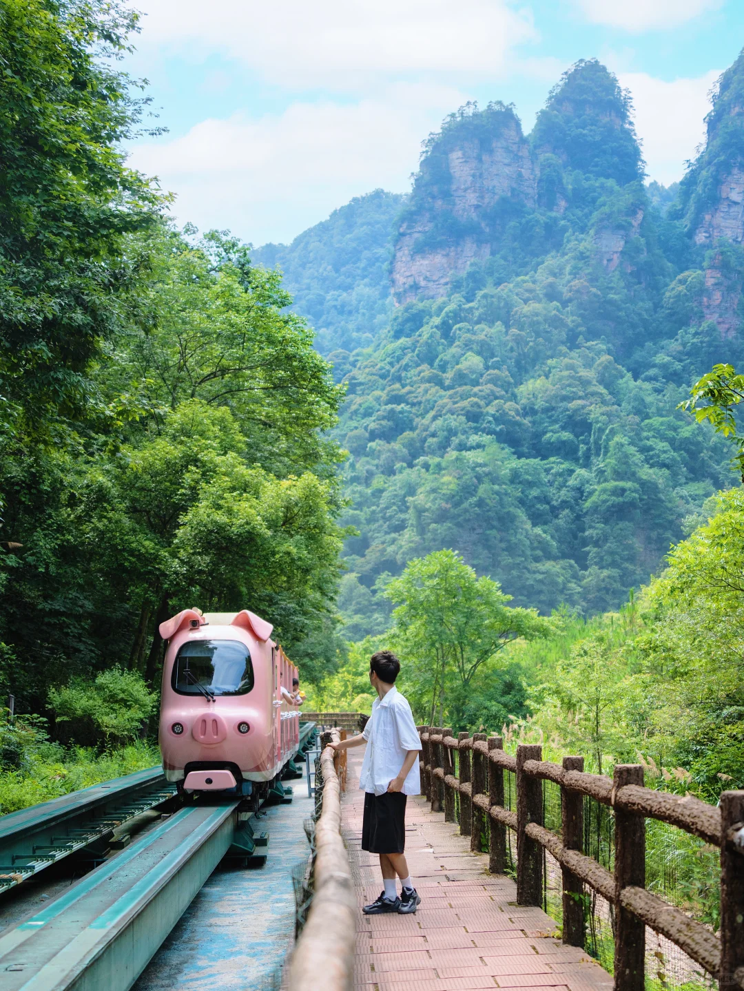 《国家地理》真的没有骗我！此生必去张家界！