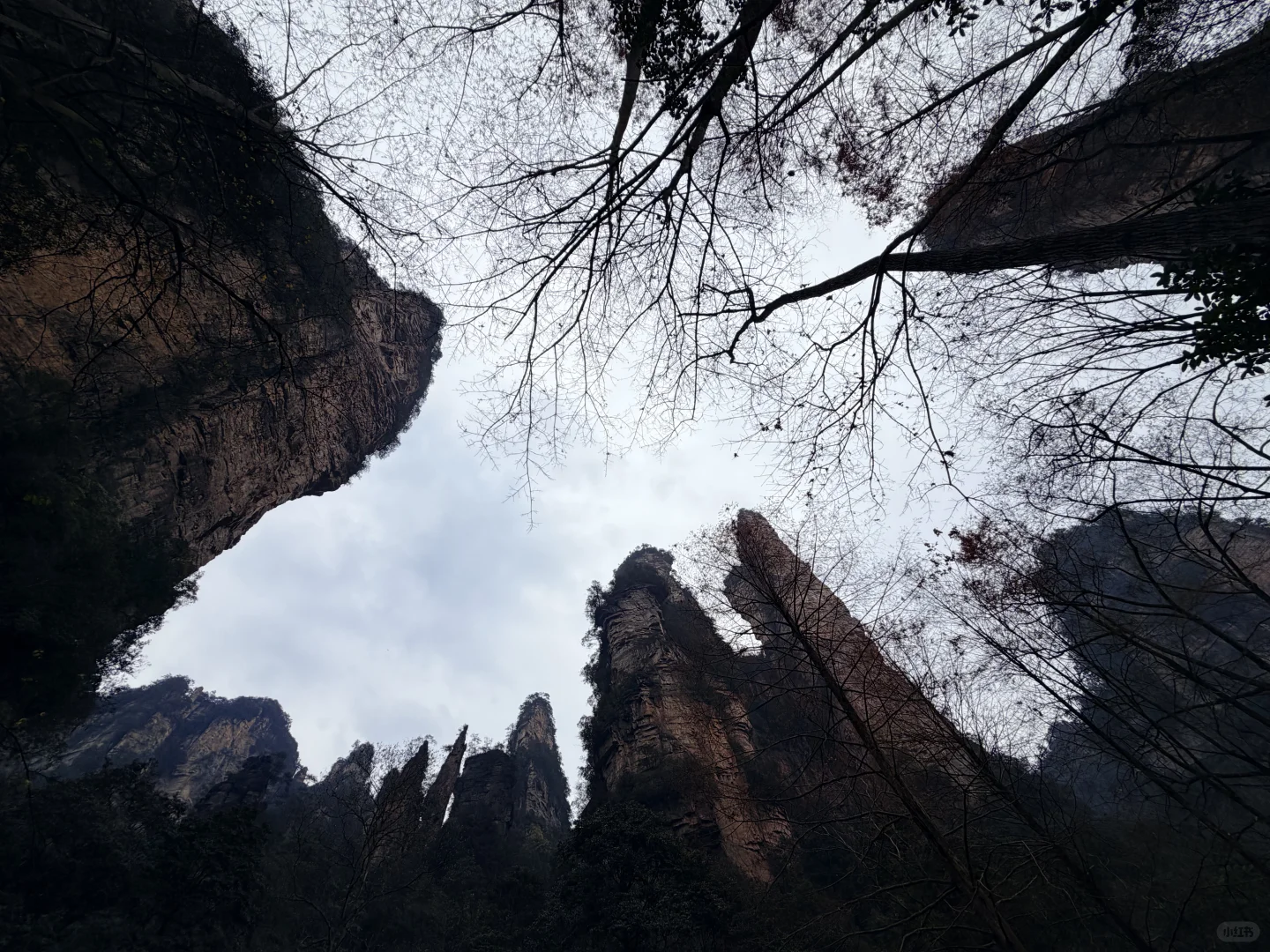 张家界国家森林公园之金鞭溪+黄石寨