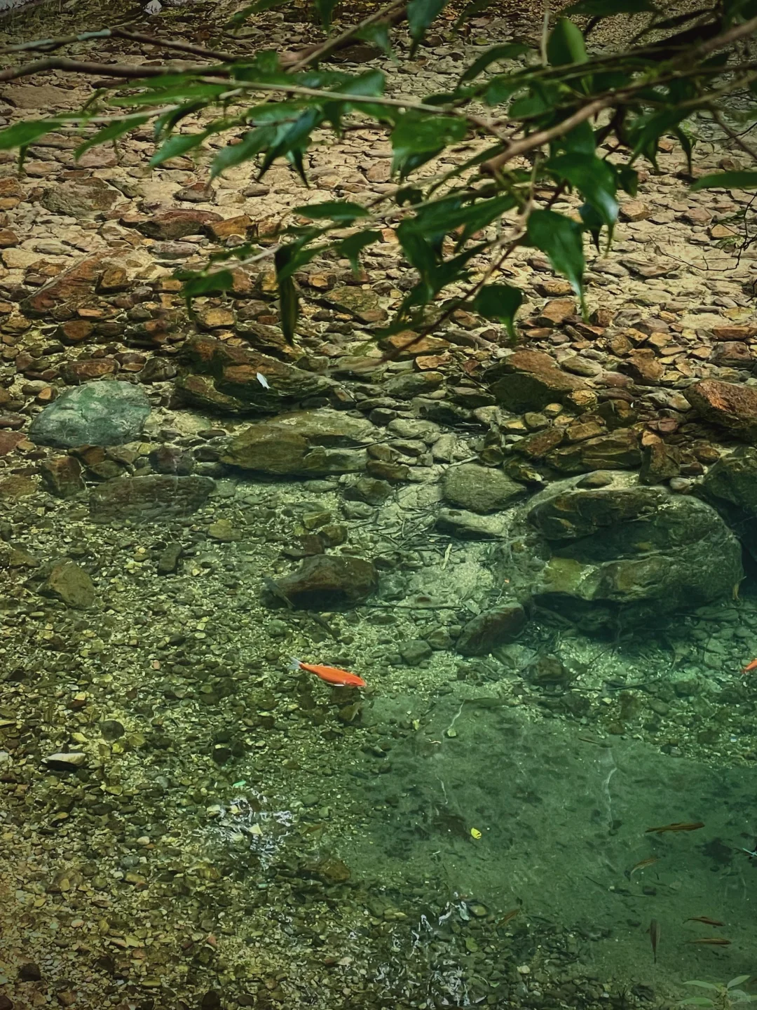 张家界｜大自然的鬼斧神工