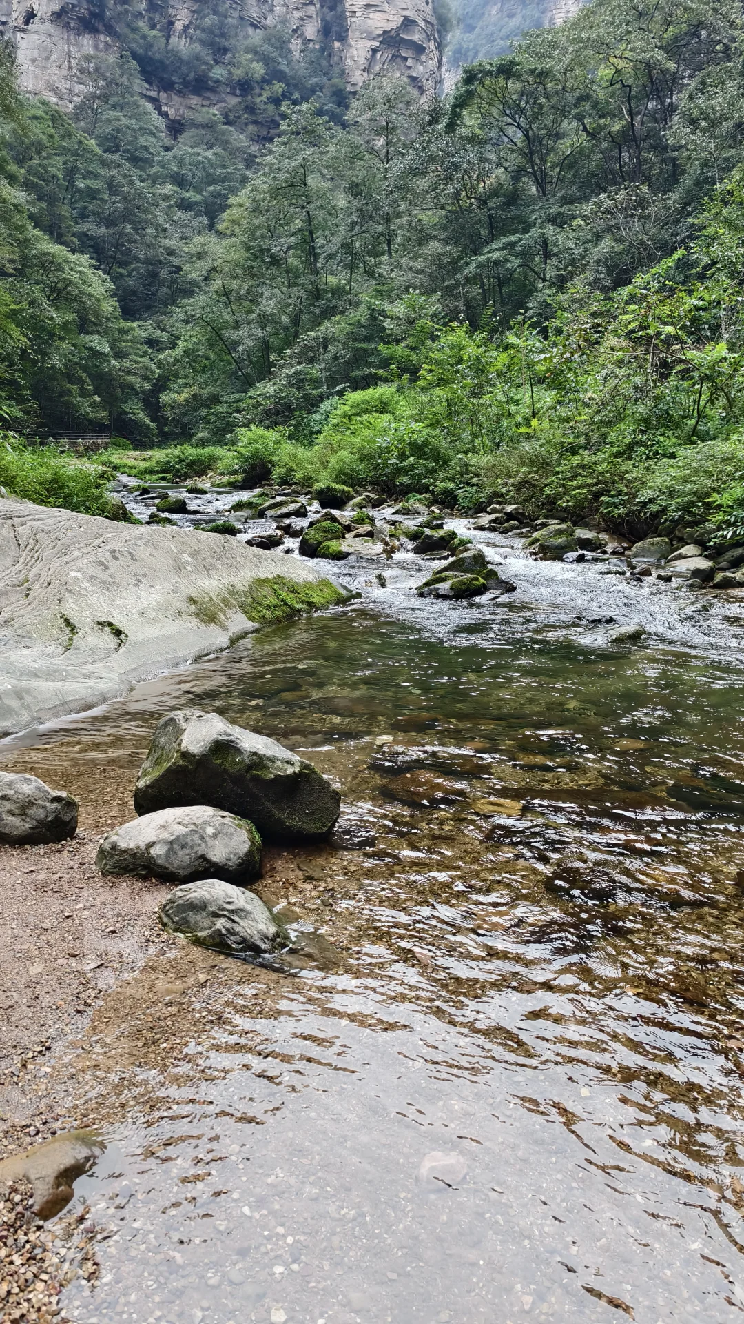 一来一个不吱声，张家界竟然有这样的山
