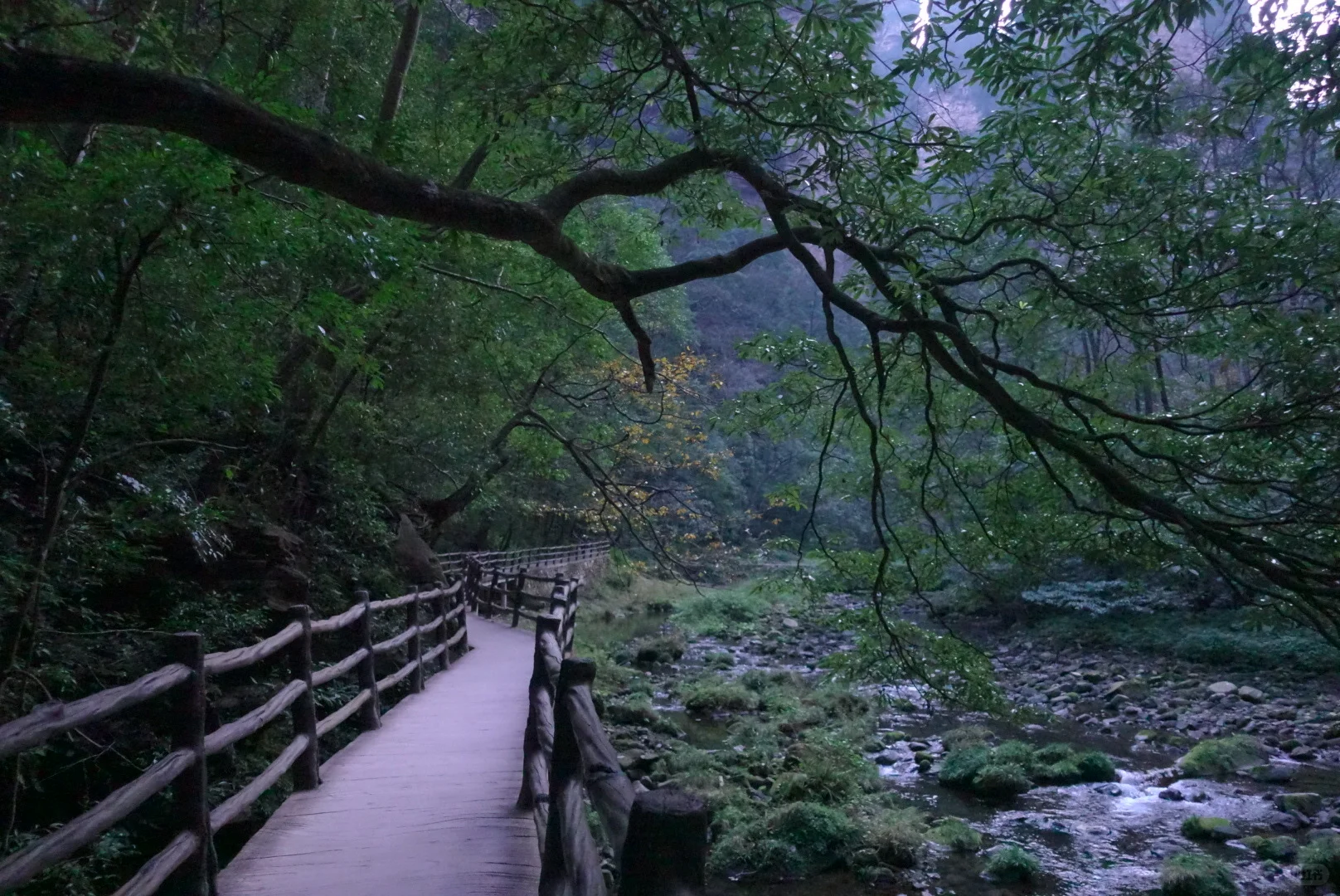 到站张家界第三天