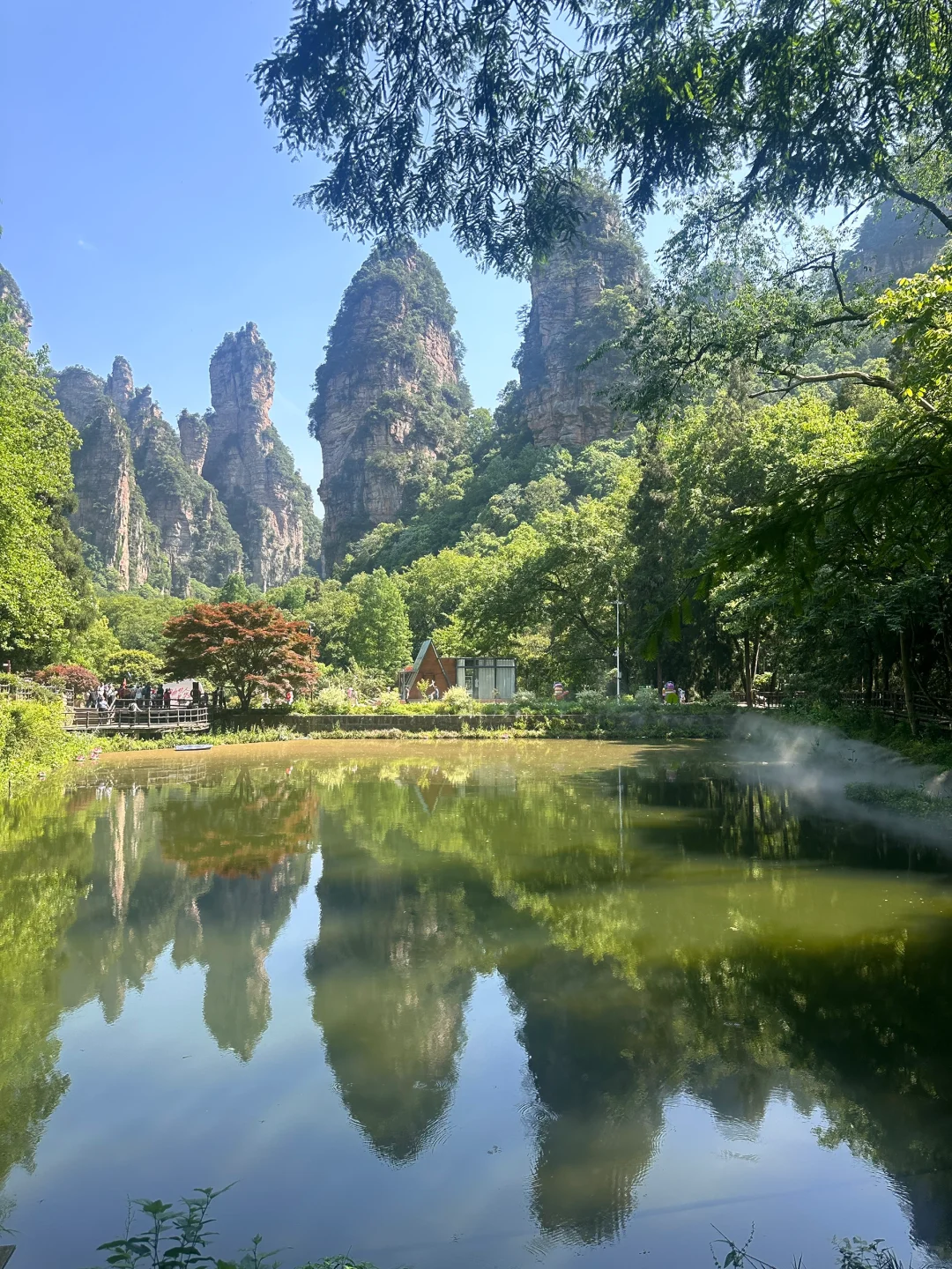 📍 𝐙𝐡𝐚𝐧𝐠 𝐣𝐢𝐚 𝐣𝐢𝐞