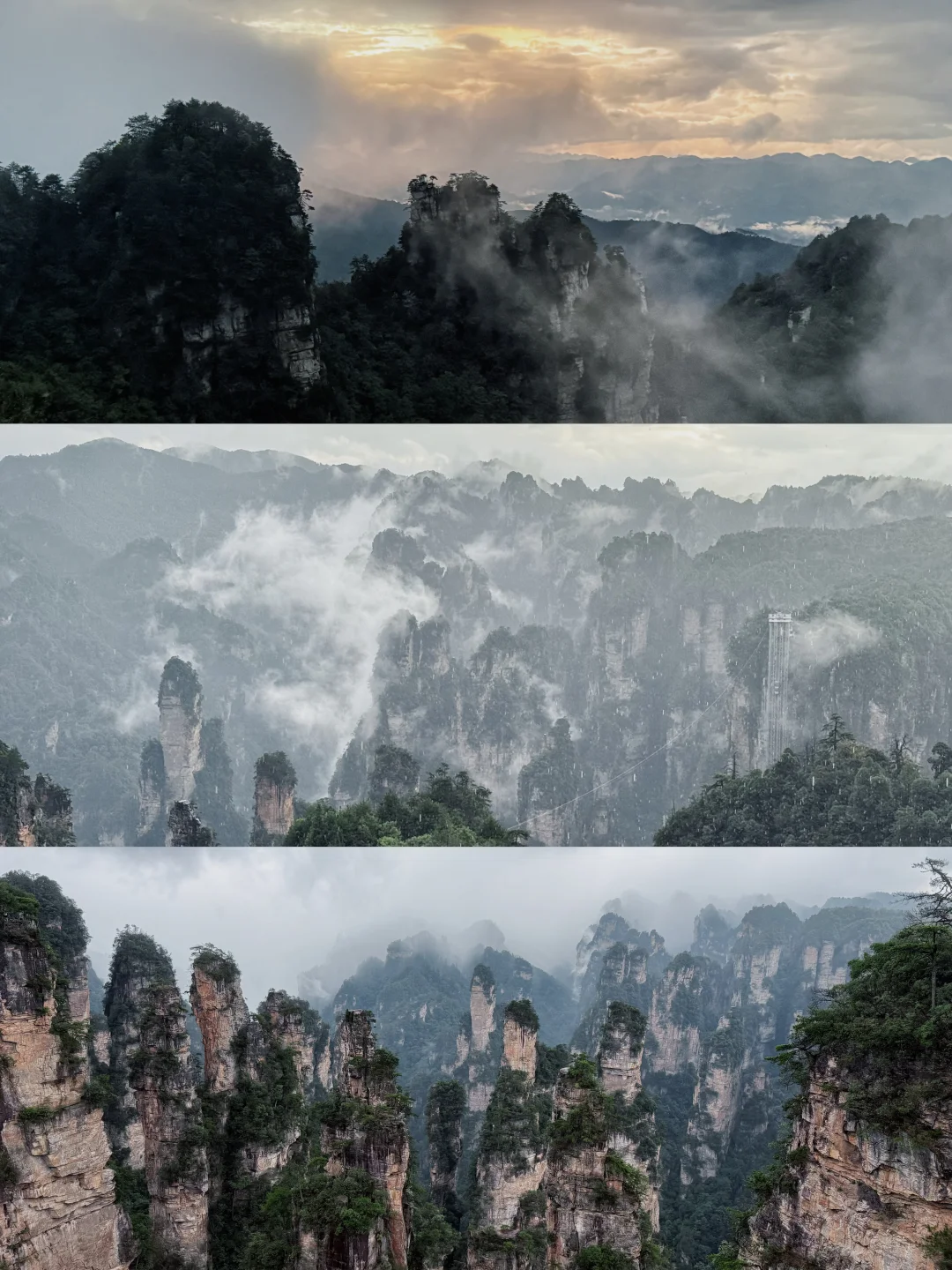 张家界森林公园超详细攻略！门票游玩全说明