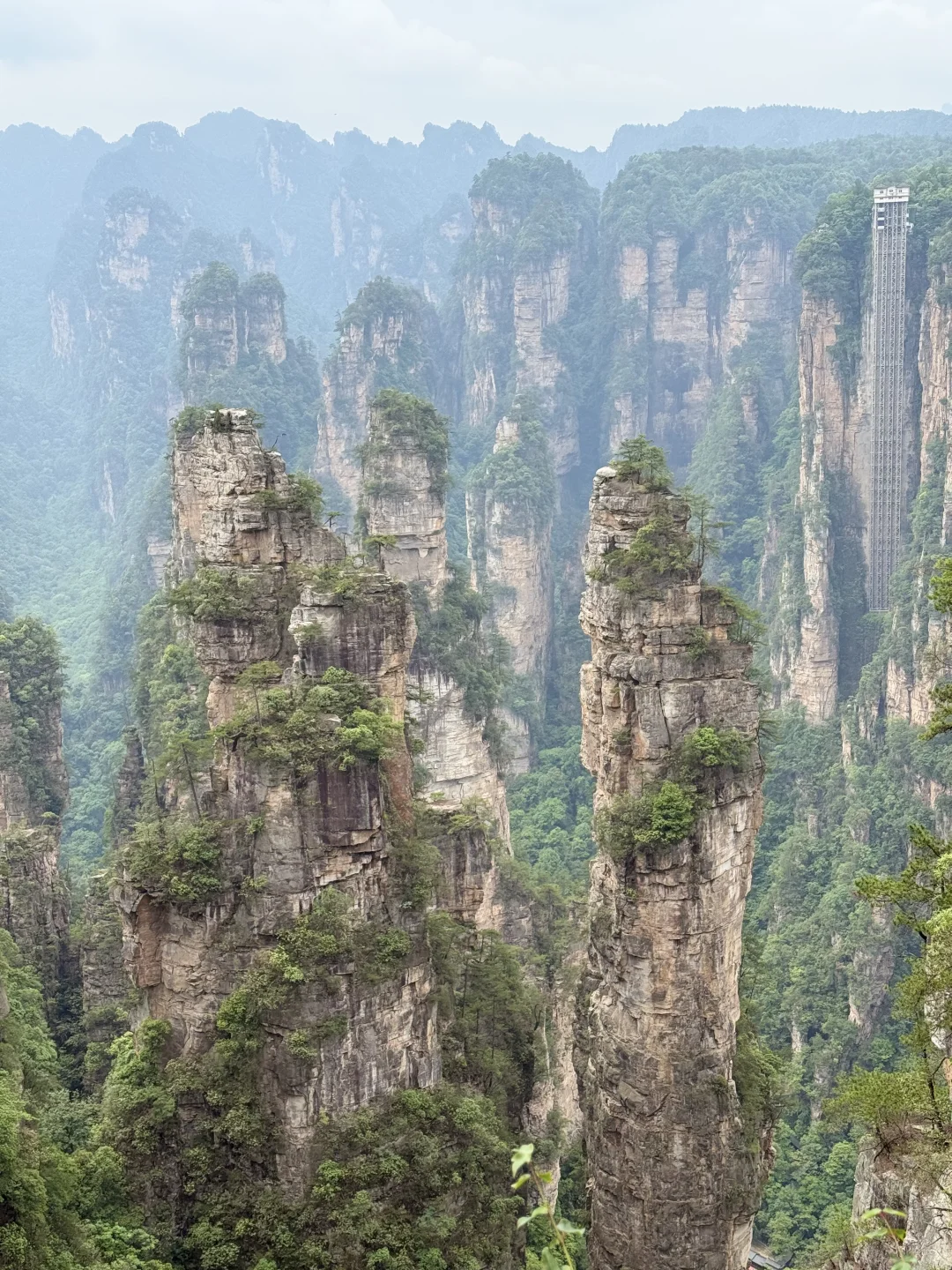 中国张家界国家森林公园～