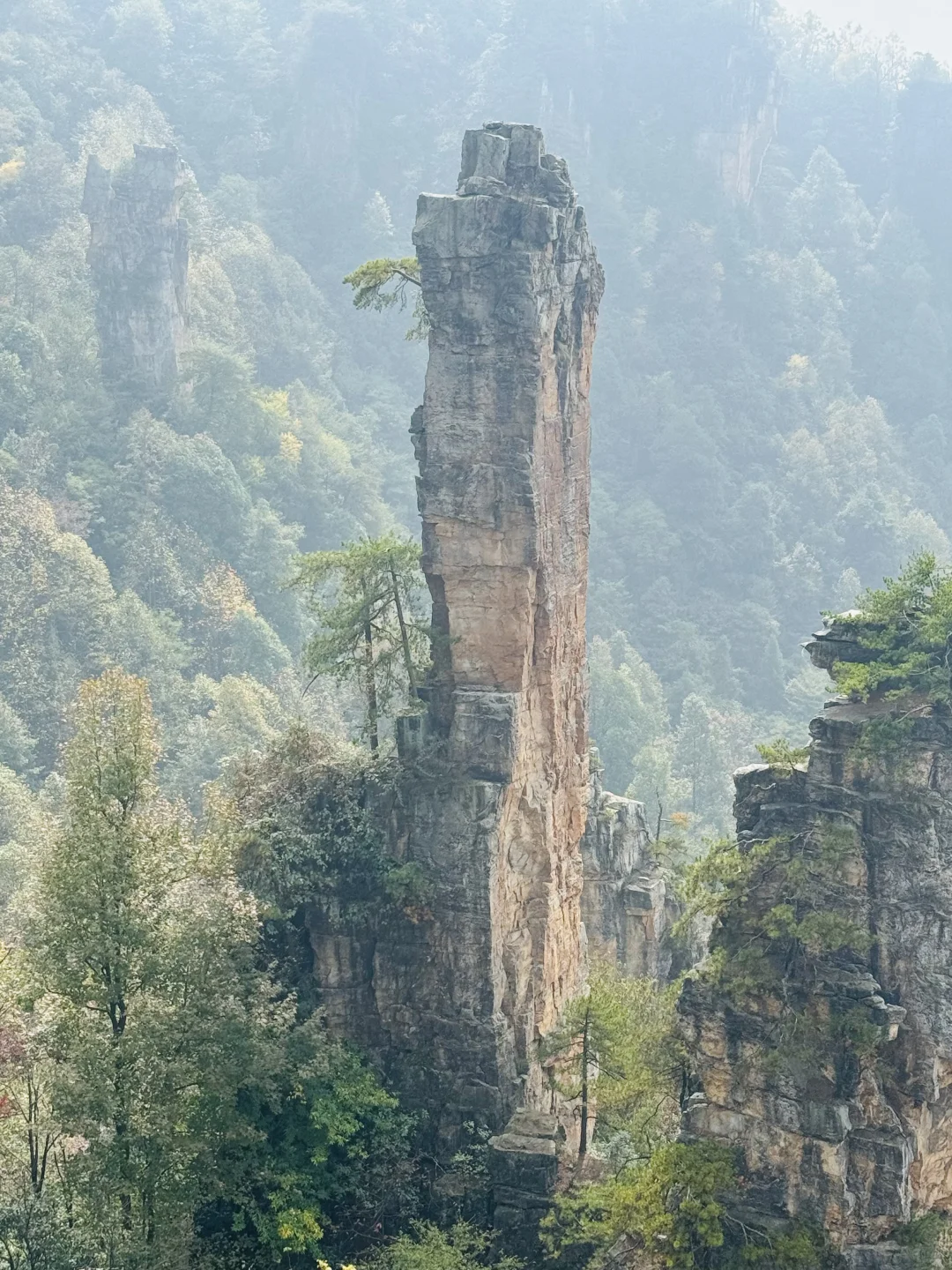 南国之旅9: 湖南张家界