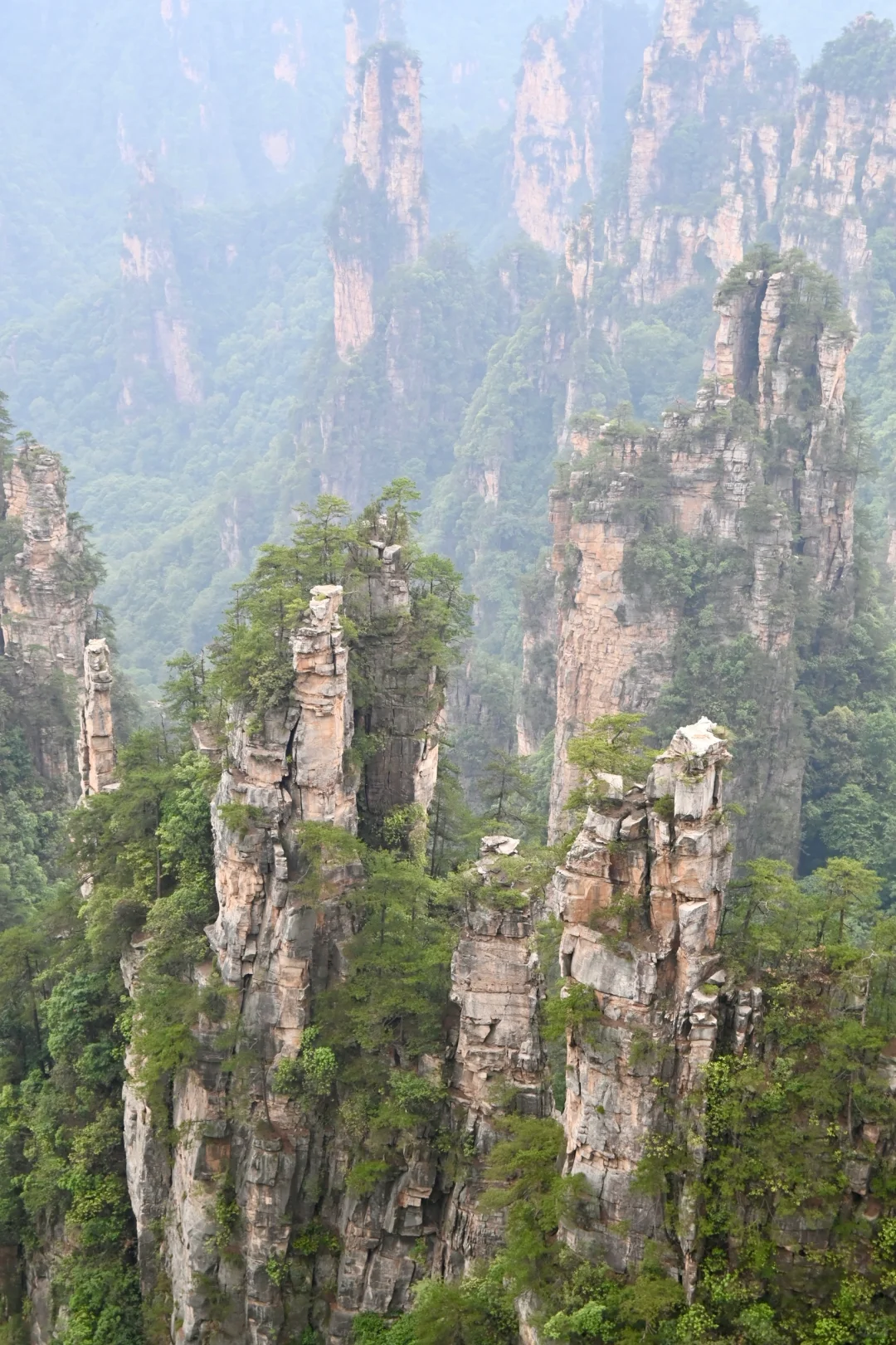 韩国人私藏的中国仙境 张家界