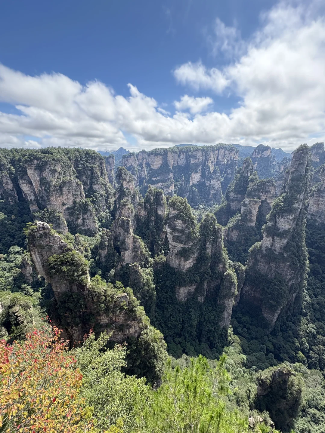 这才是张家界该有的样子