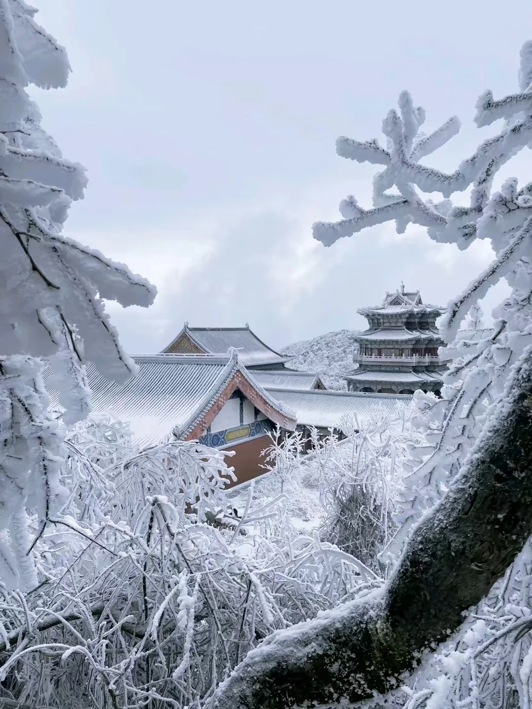 张家界天门山冬游｜选B线也太香了吧❄️