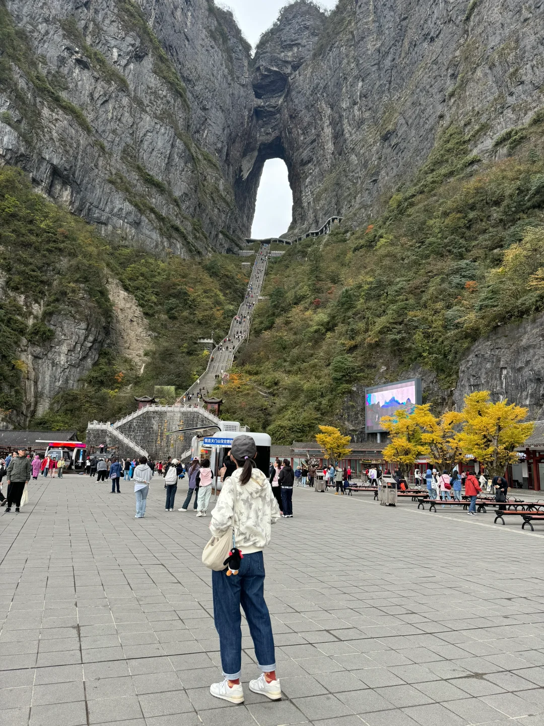 拥抱秋日的张家界 天门山篇🌳