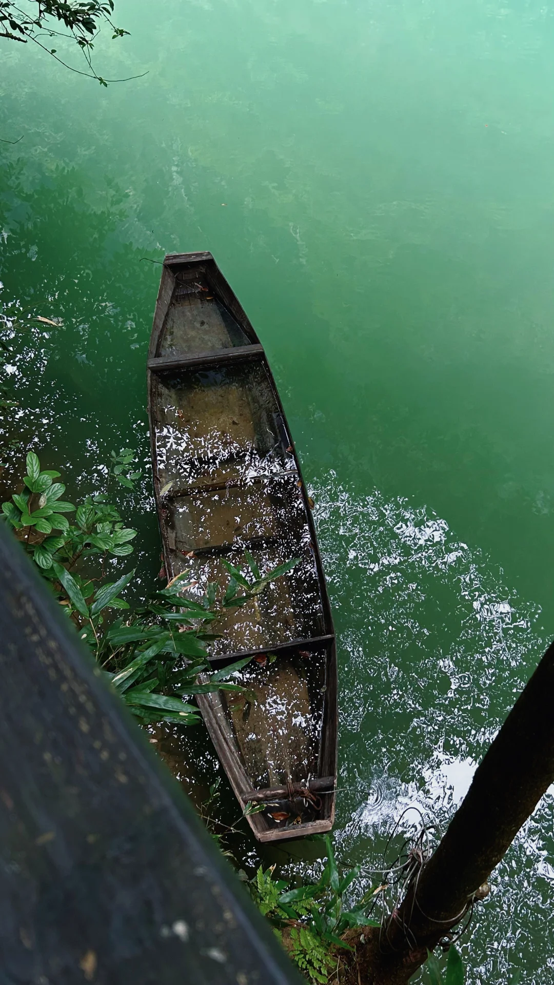 📍𝐙𝐡𝐚𝐧𝐠 𝐉𝐢𝐚 𝐉𝐢𝐞 · 大峡谷