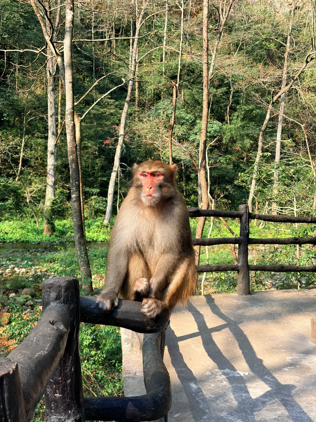 张家界国家森林公园之金鞭溪+黄石寨