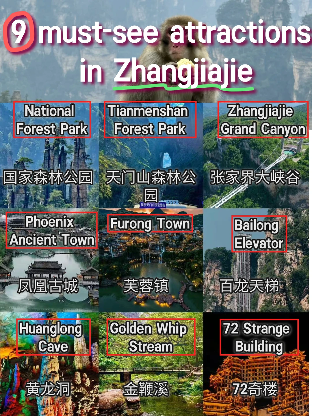 Must-See Attractions in Zhangjiajie!🤩