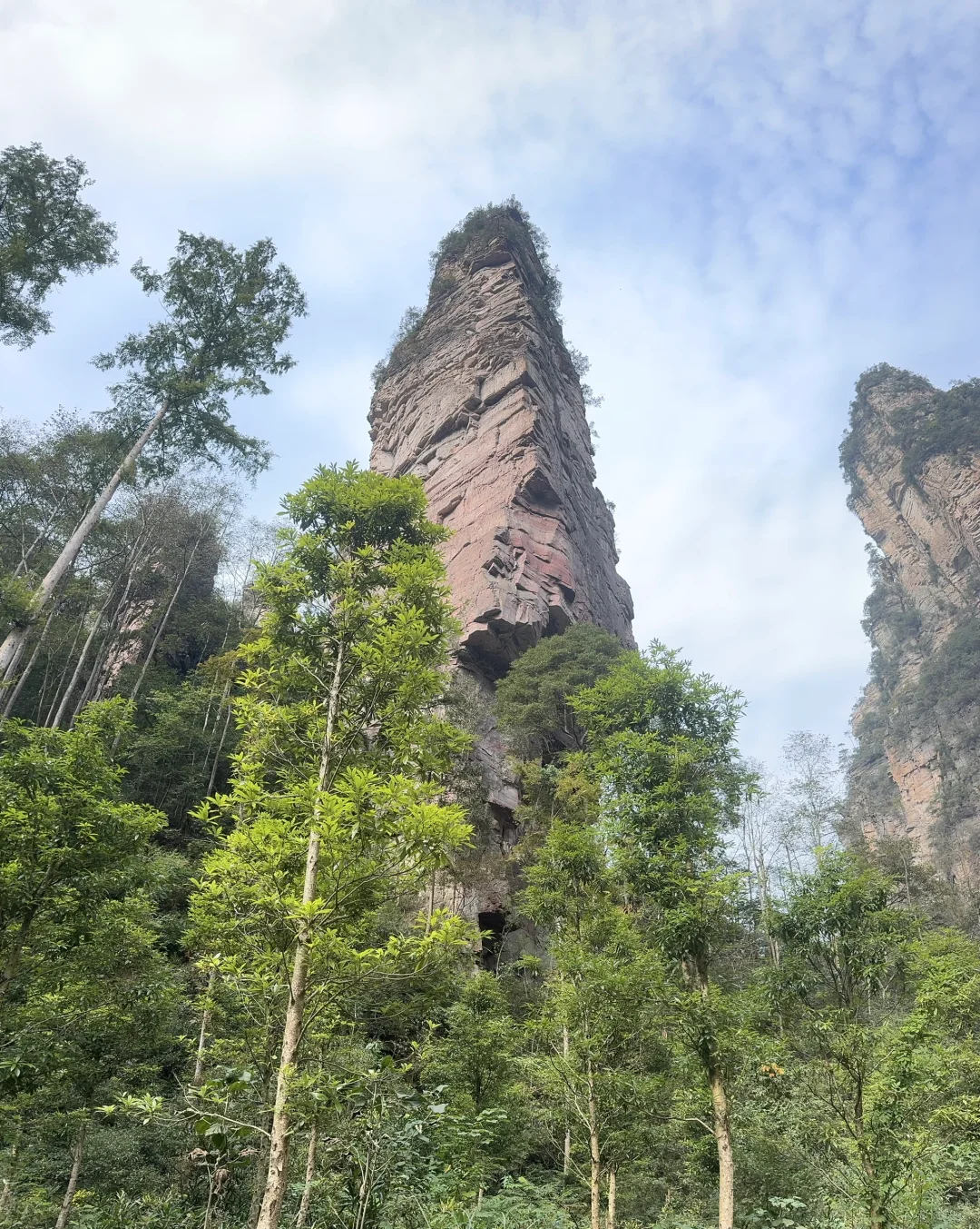 南国之旅9: 湖南张家界