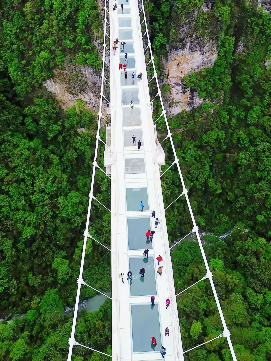 张家界刚回，能劝一个是一个❗坚决不删❗😂