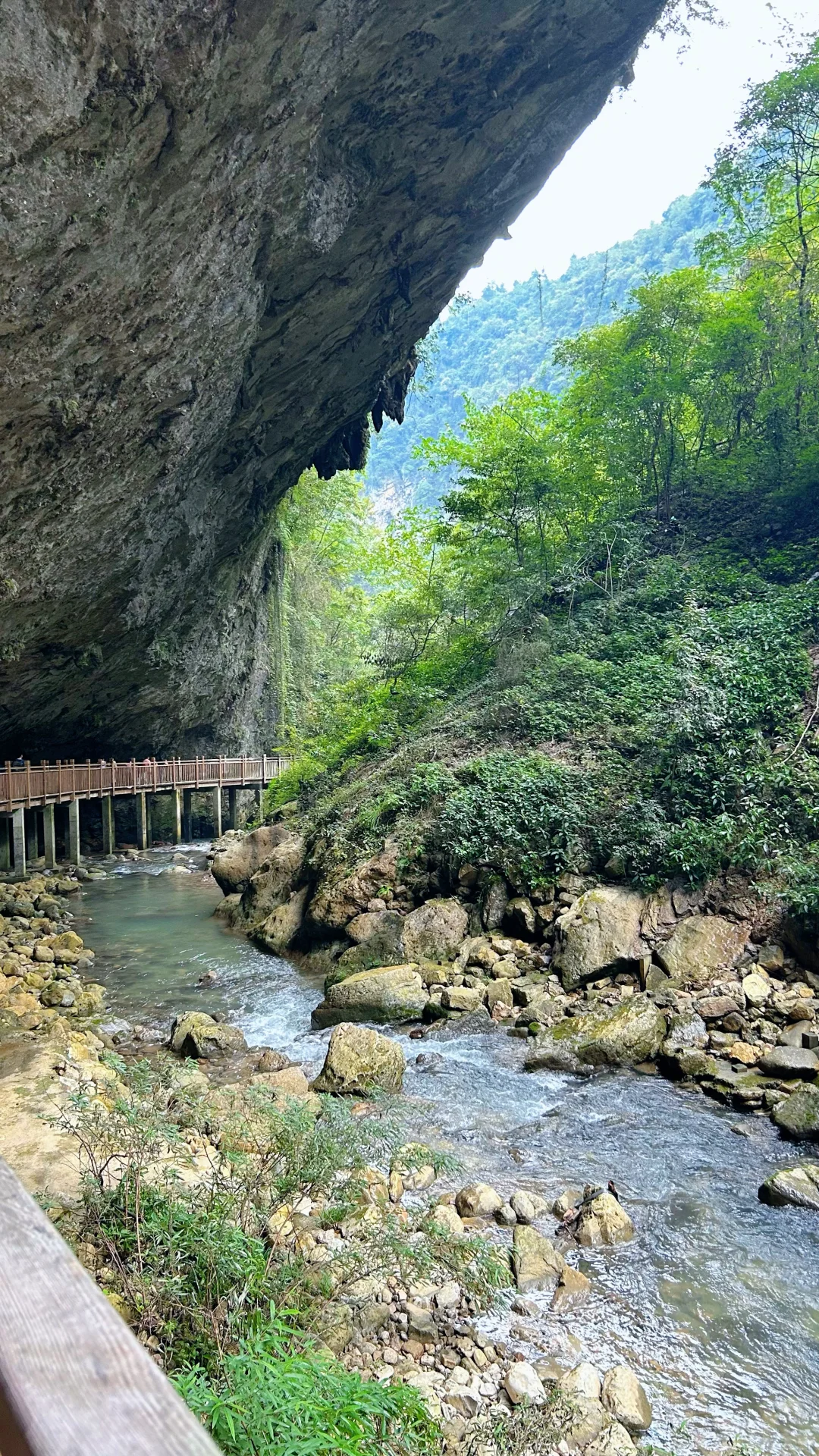 📍𝐙𝐡𝐚𝐧𝐠 𝐉𝐢𝐚 𝐉𝐢𝐞 · 大峡谷