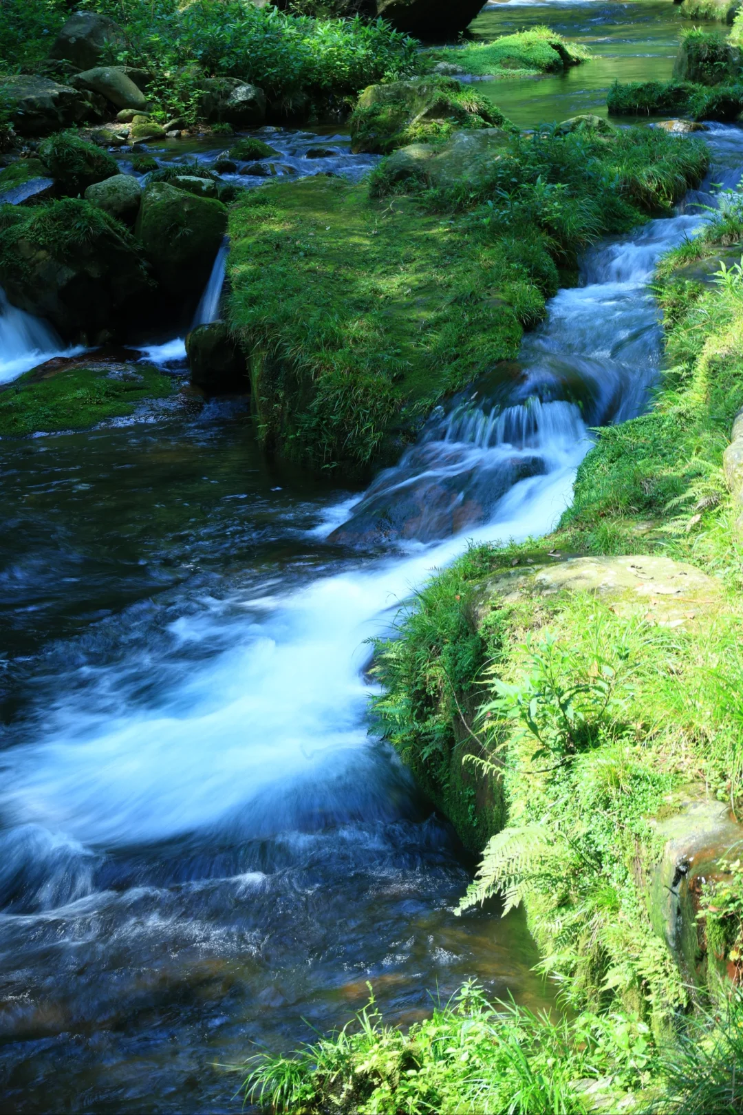张家界很好，下次不来了！