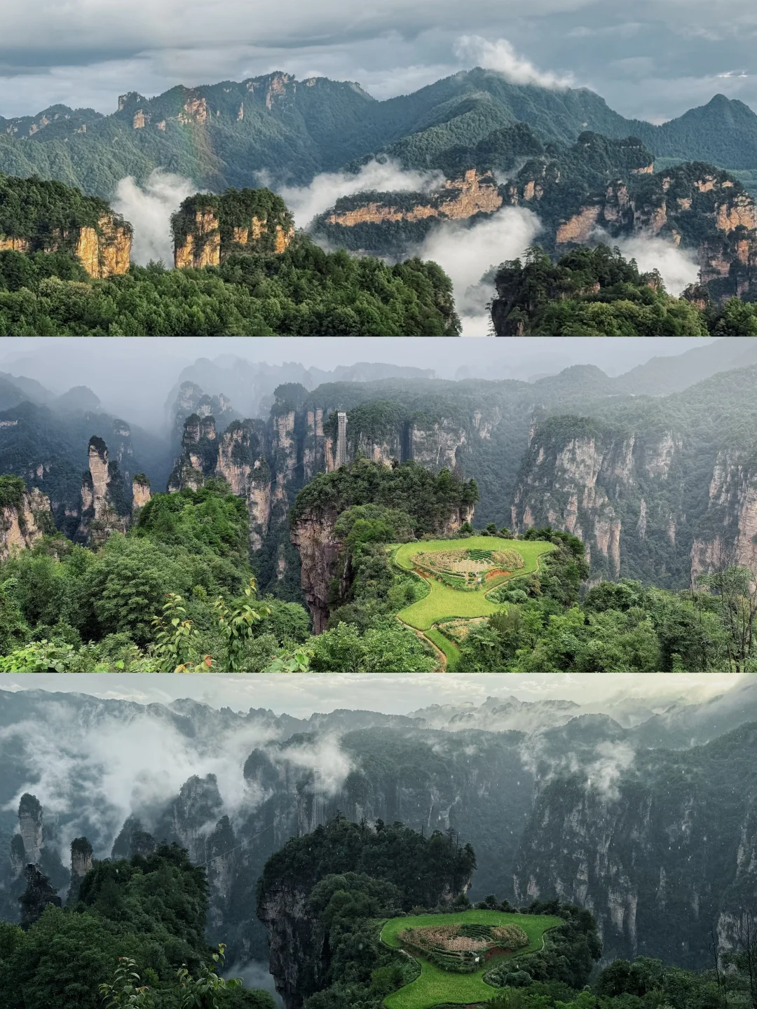 张家界森林公园超详细攻略！门票游玩全说明