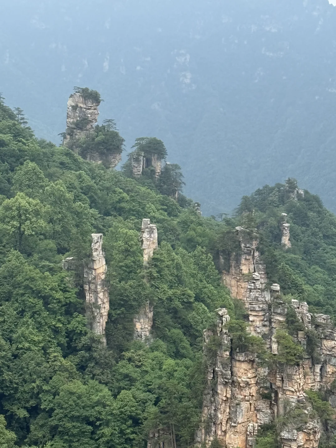 中国张家界国家森林公园～