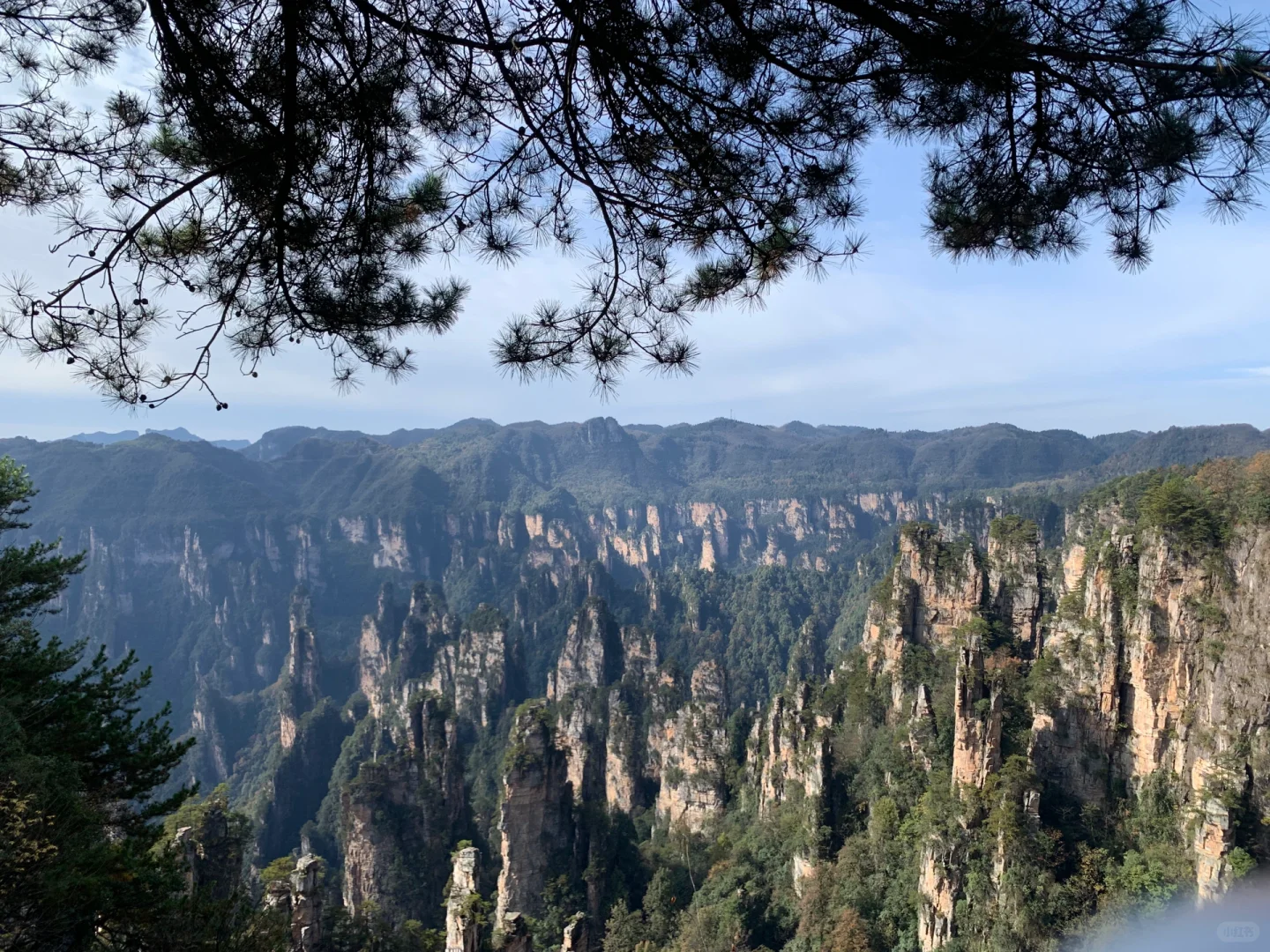 来张家界如何游玩？！