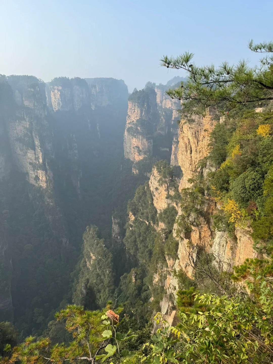 南国之旅9: 湖南张家界