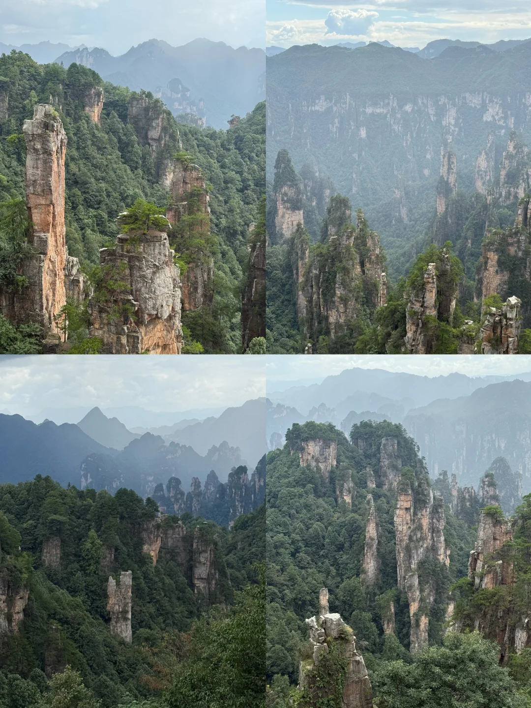 张家界森林公园超详细攻略！门票游玩全说明