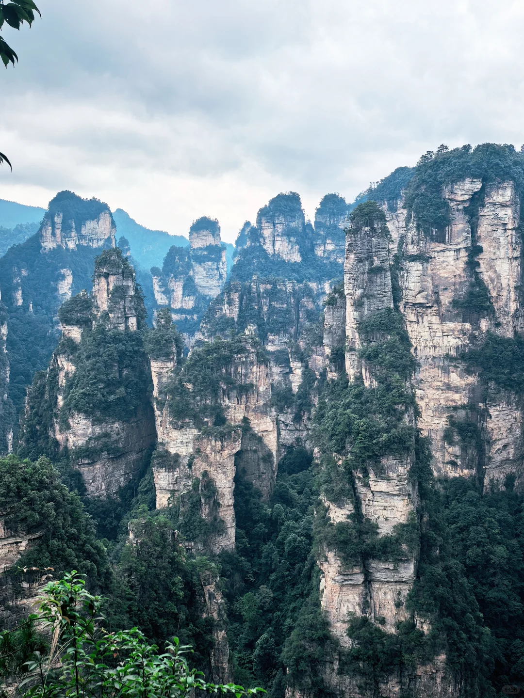 📍张家界 | 武陵源