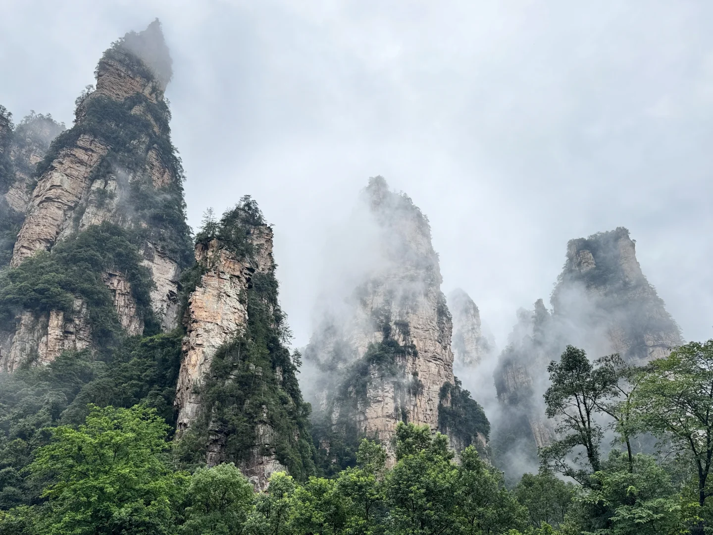 仙境之阿凡达故里