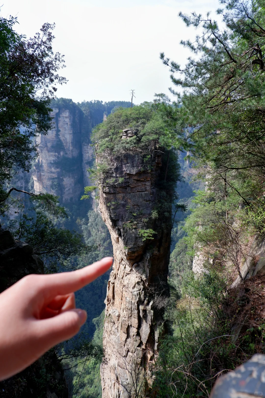 闯入阿凡达的潘多拉星球⛰️