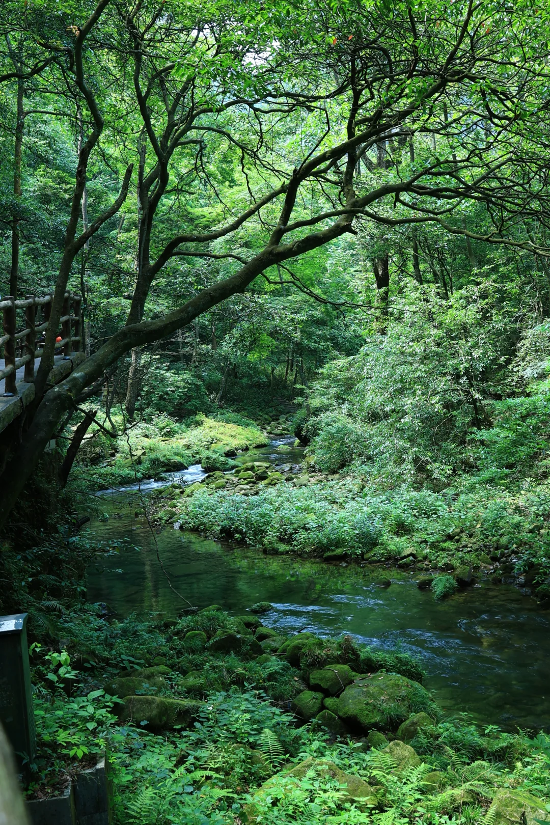 张家界很好，下次不来了！