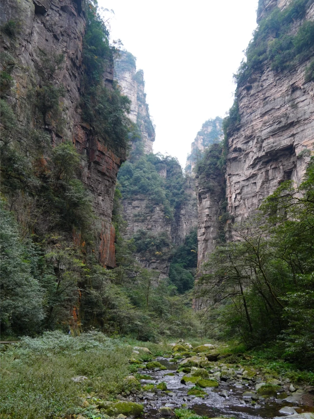 强推淡季的张家界‼️附攻略地图