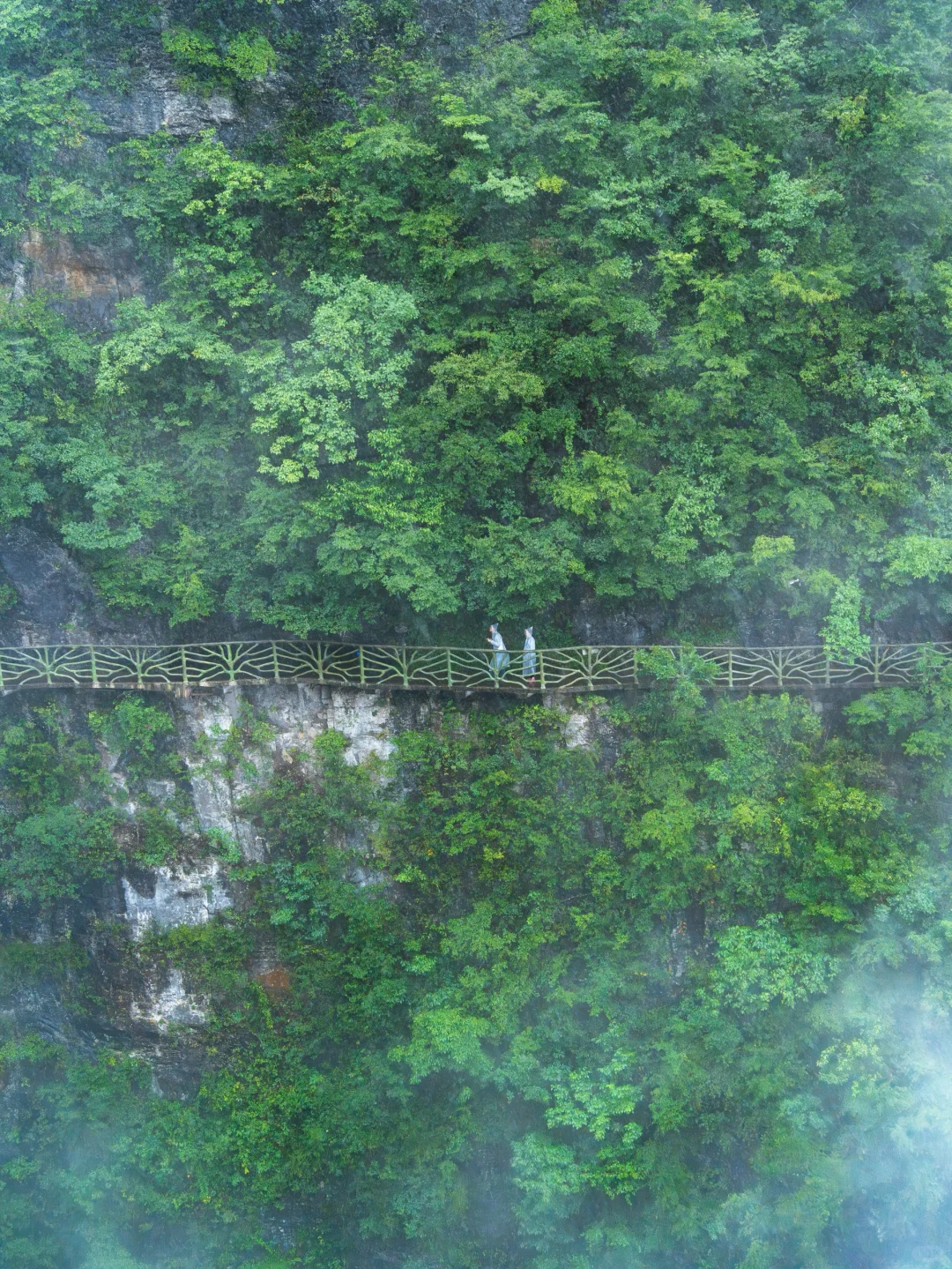 张家界‼️这么美你不宣传❓你糊涂啊😭