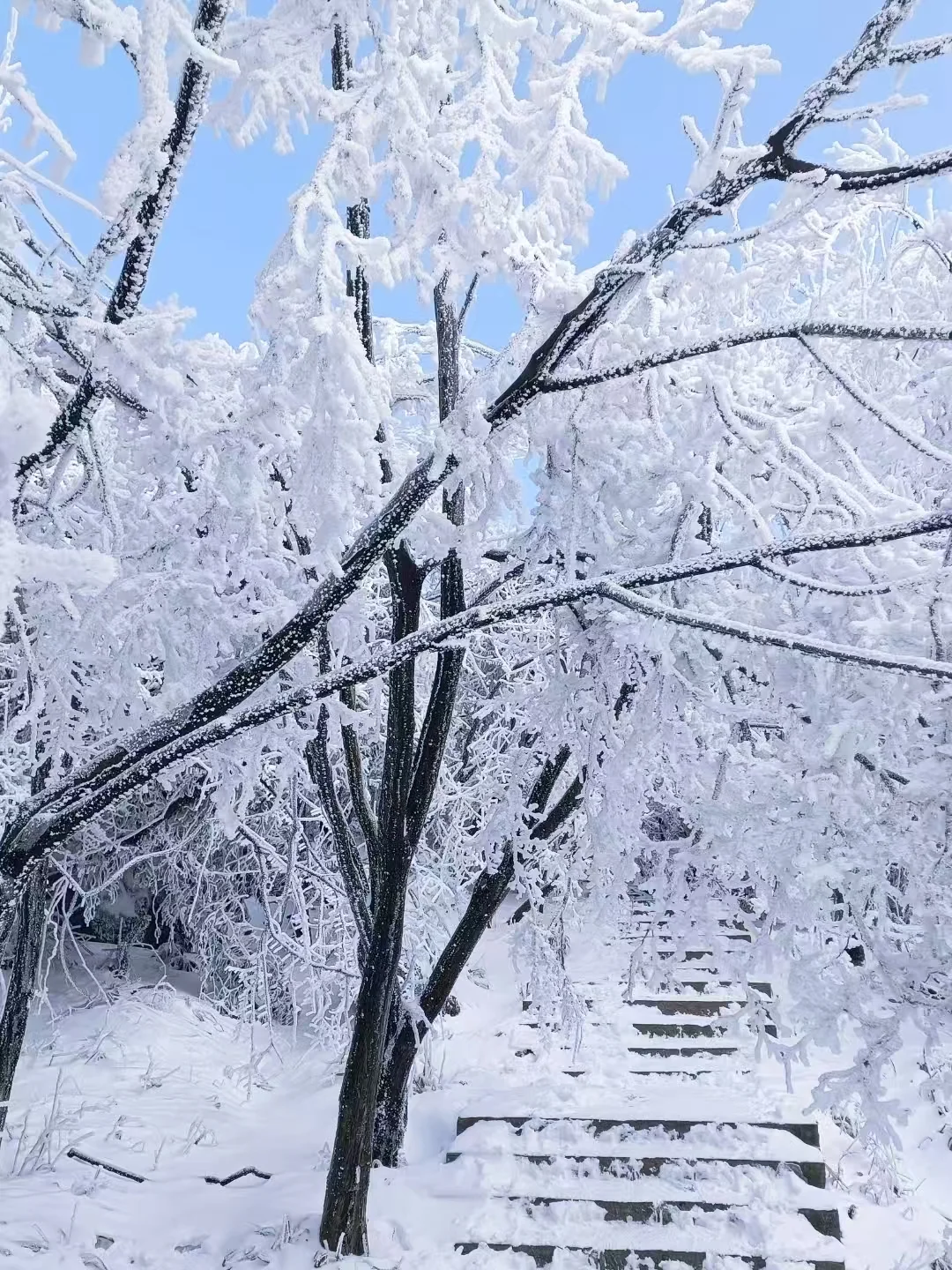 张家界天门山冬游｜选B线也太香了吧❄️