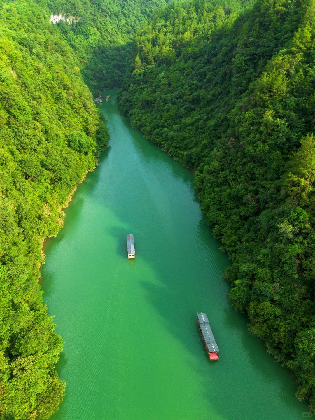 《国家地理》真的没有骗我！此生必去张家界！
