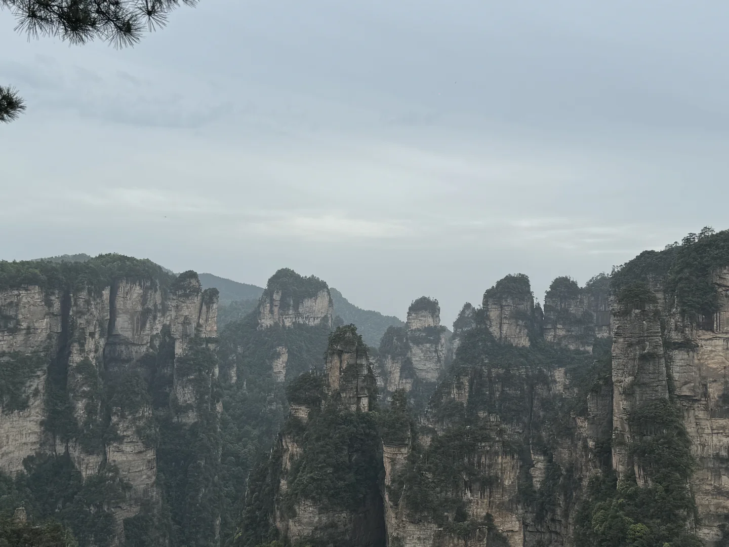 到底是谁在宣传张家界好玩啊，差评差评