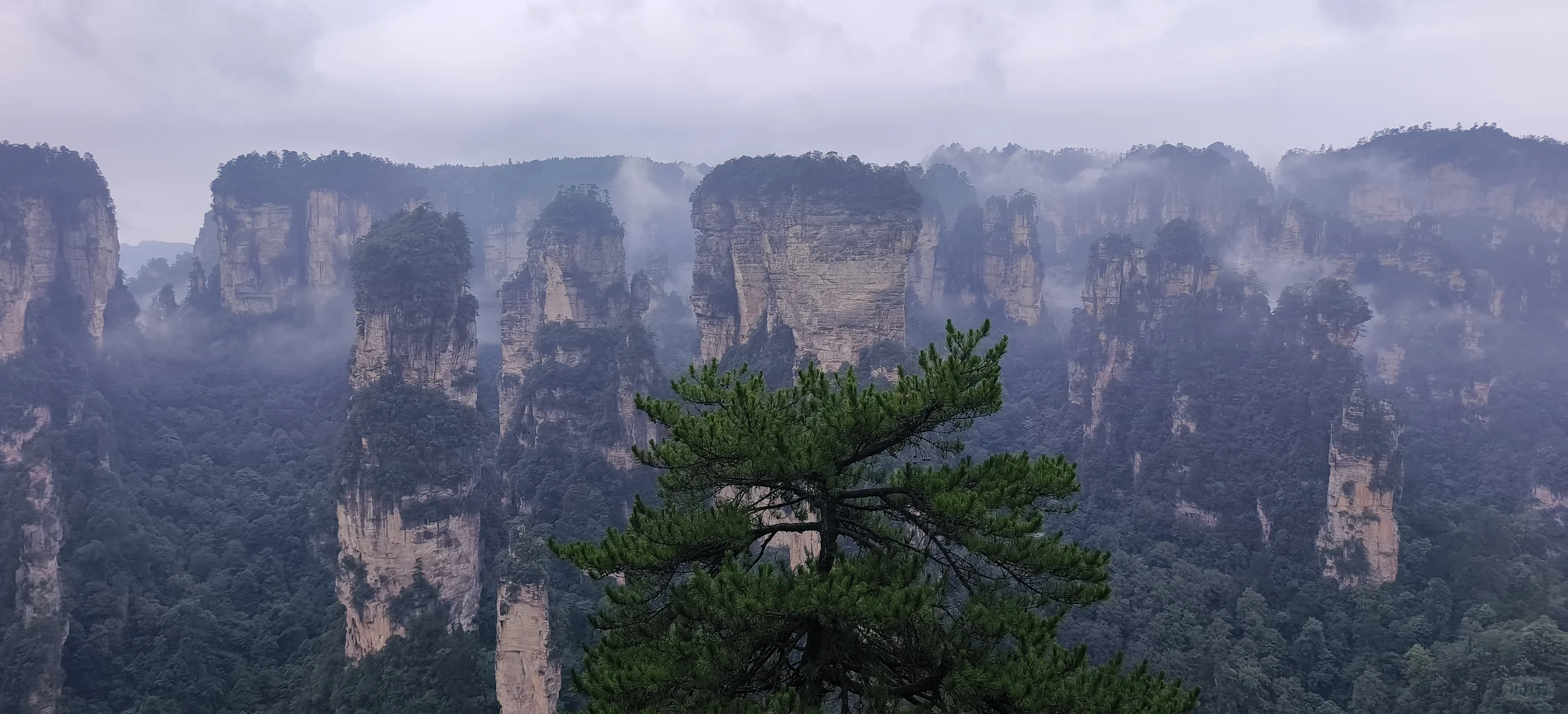 张家界森林公园2日路线(精华版)