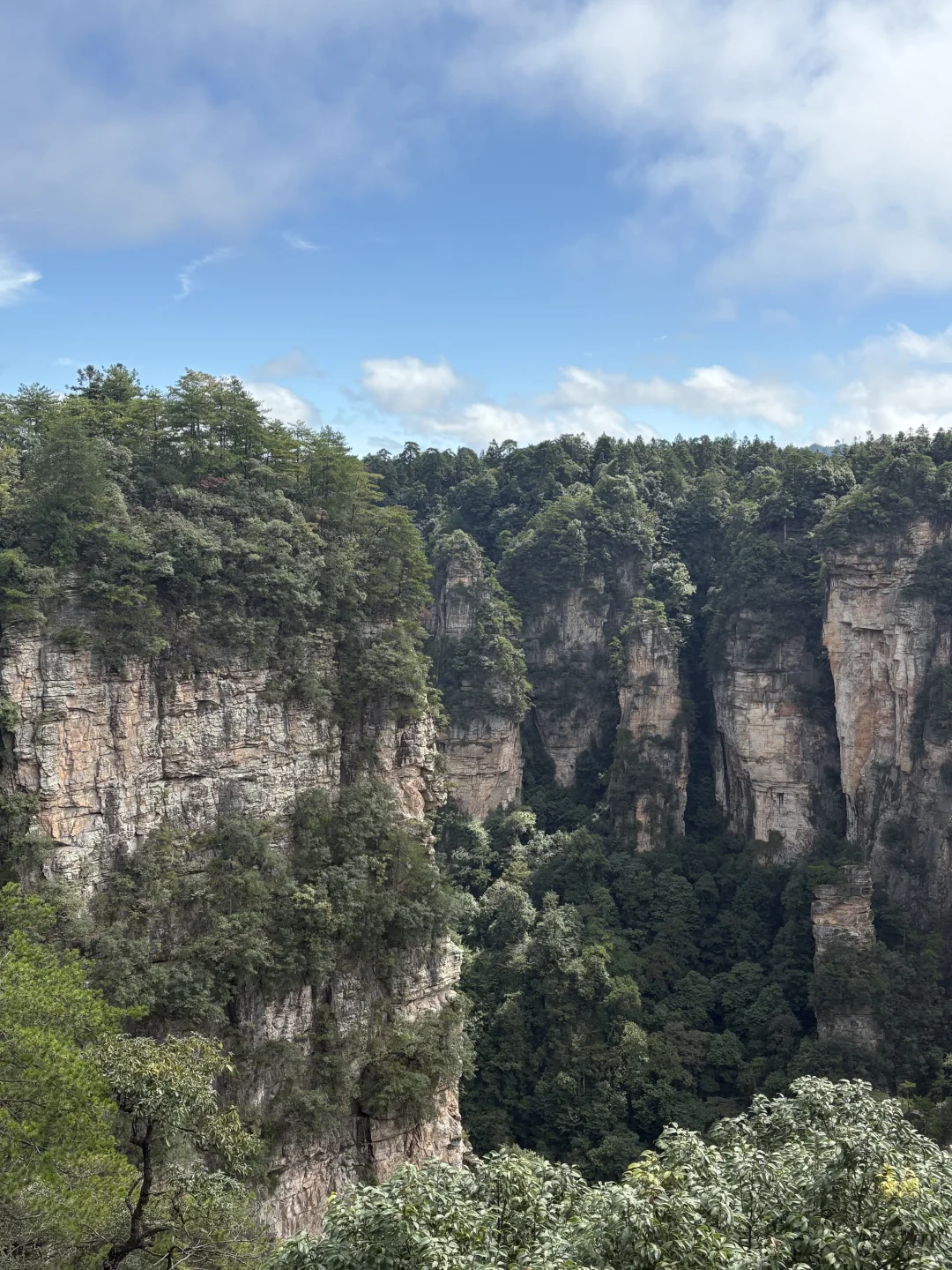 这才是张家界该有的样子