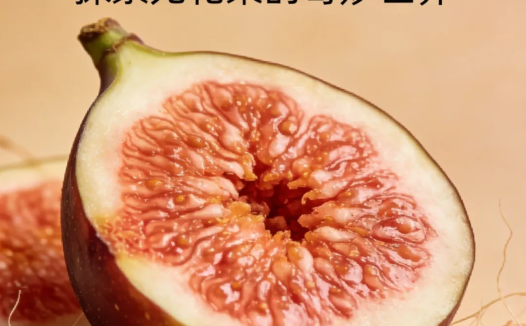 长沙植男问题：无花果