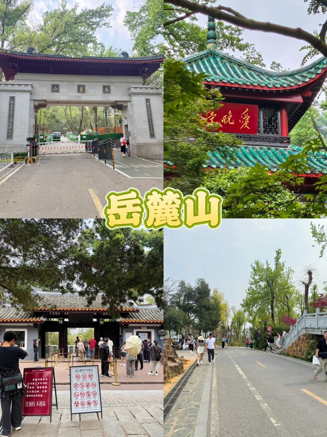 长沙特种兵一日游