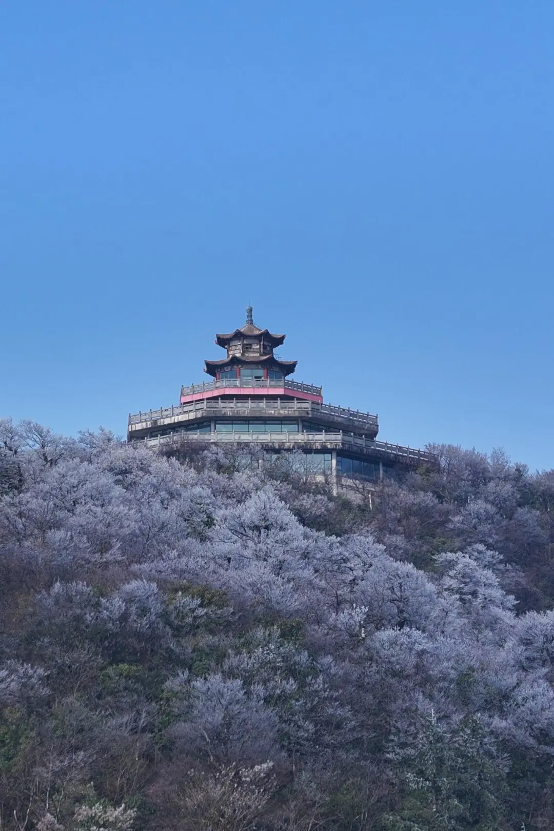 快看！天门山雾凇杀疯了