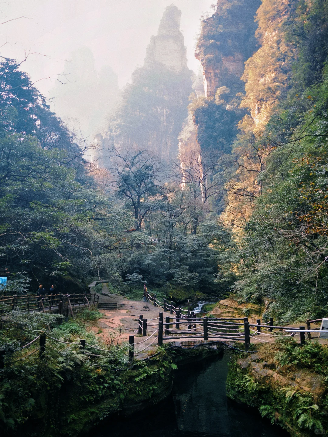 三天十万步畅游张家界