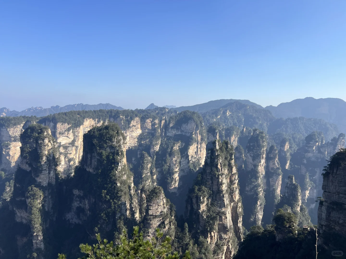 跟着🇨🇦向导2天逛遍张家界公园