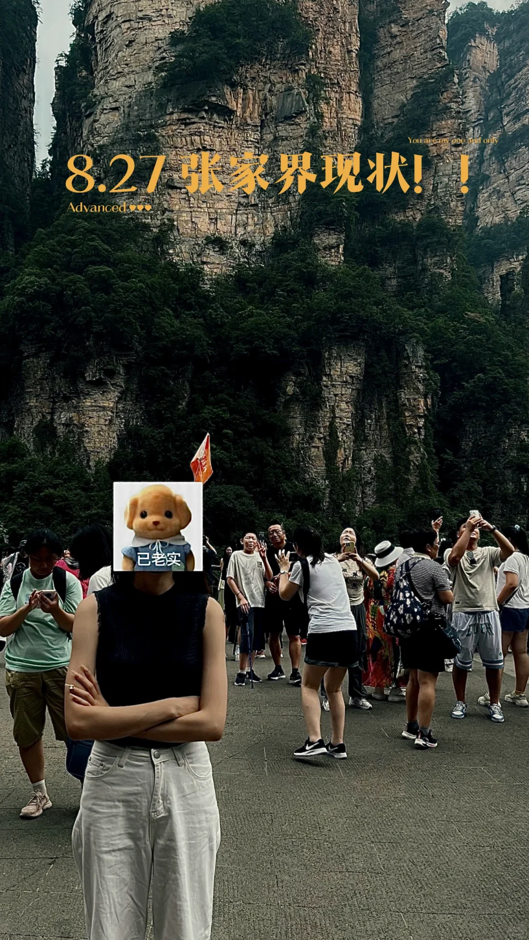 8.27张家界现状 ！近期去的姐妹小心...