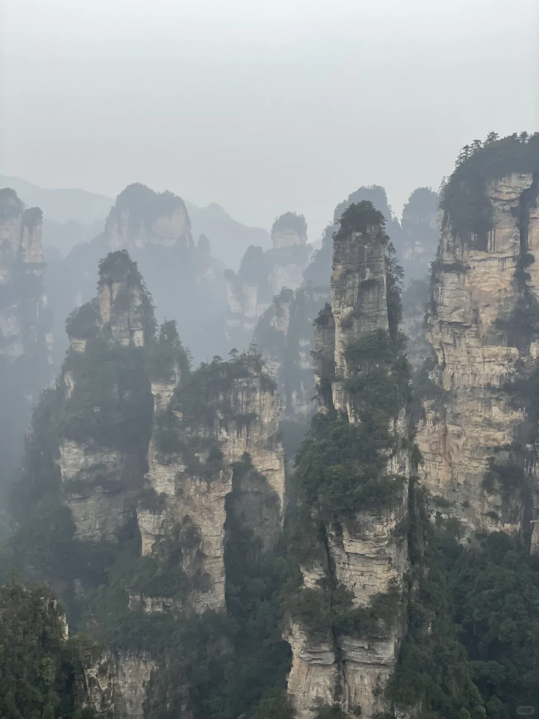 张家界3天2夜｜不想做攻略直接复制：）