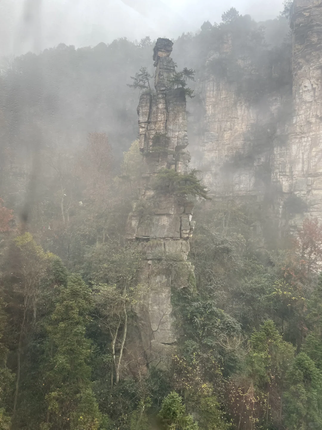 张家界3天2夜｜不想做攻略直接复制：）